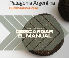 Nueva publicación sobre truficultura reúne experiencias y conocimientos para Patagonia Sur