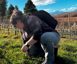 Vinculación público-privada para generar conocimiento aplicado a la producción vitivinícola