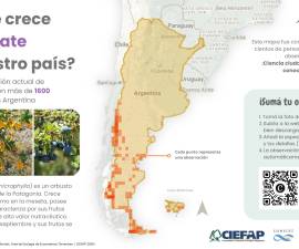Un mapa permite conocer la distribución actual de calafate en Argentina